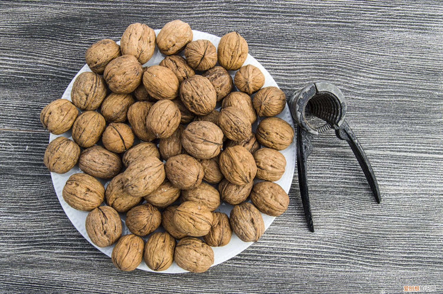 核桃树修剪技术视频教程 核桃树的修剪技术