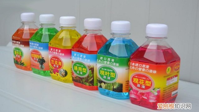 用什么可以代替营养液呢 用什么可以代替营养液