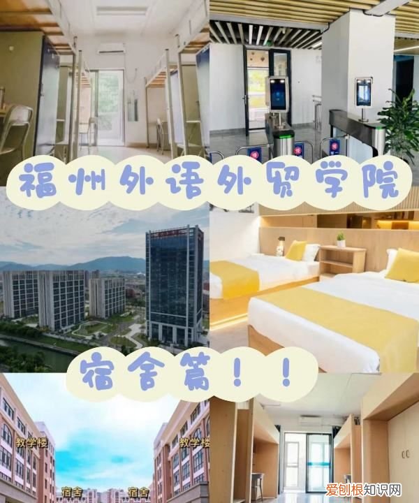 福外是哪个大学,福州外语外贸学院和闽南理工学院哪个好