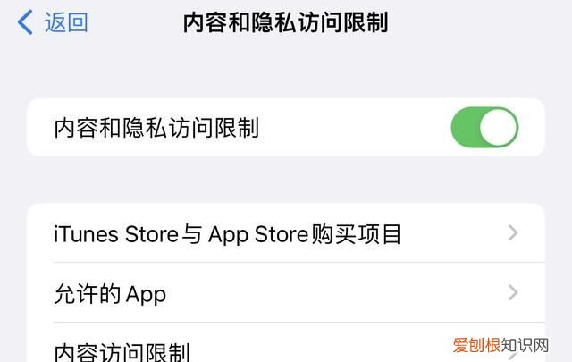 iphone怎么去除应用开屏广告