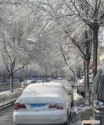 四月雪花飘下句是什么