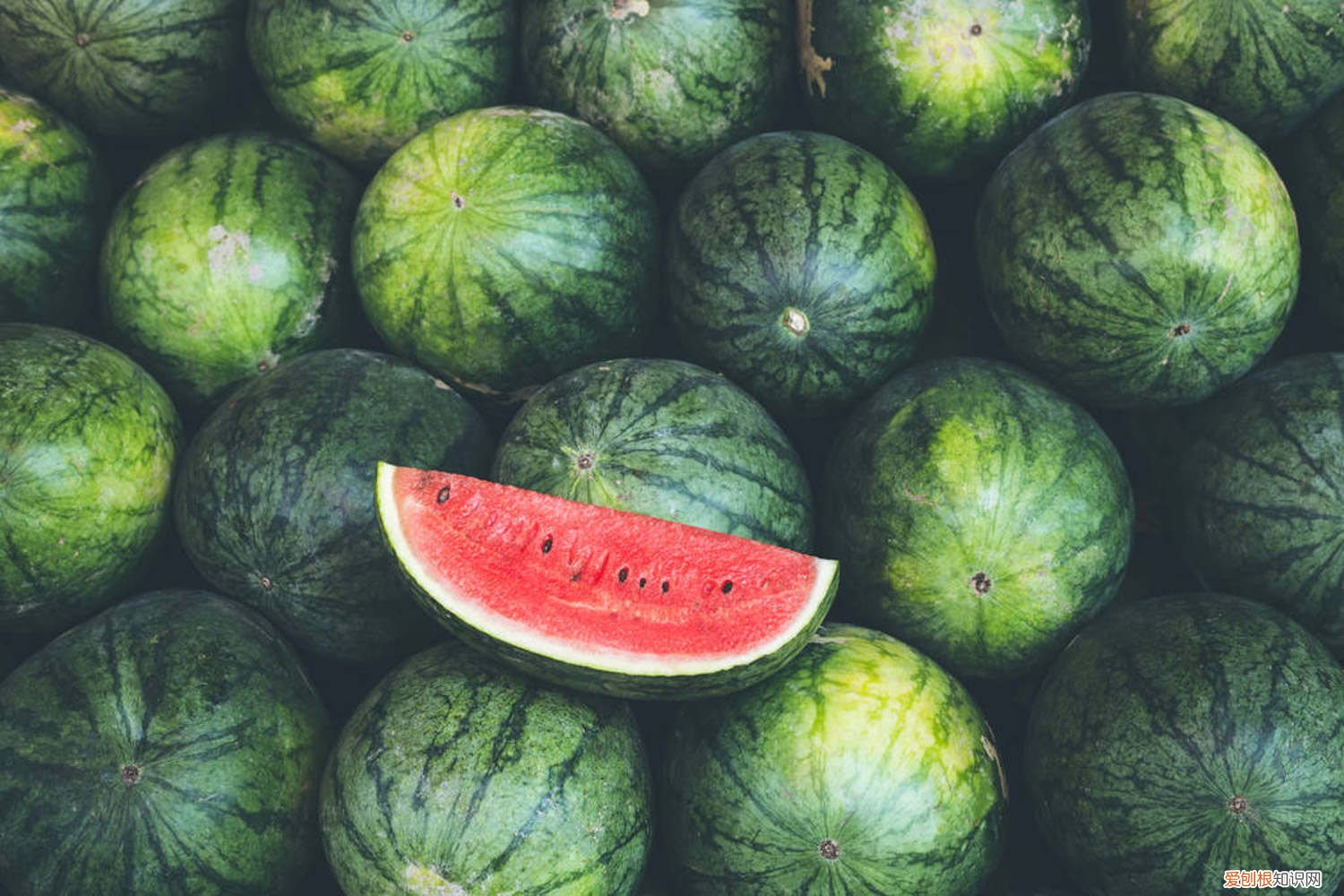 西瓜皮解暑吗 西瓜皮别乱扔，夏季解暑全靠它，效果赛过老人参！