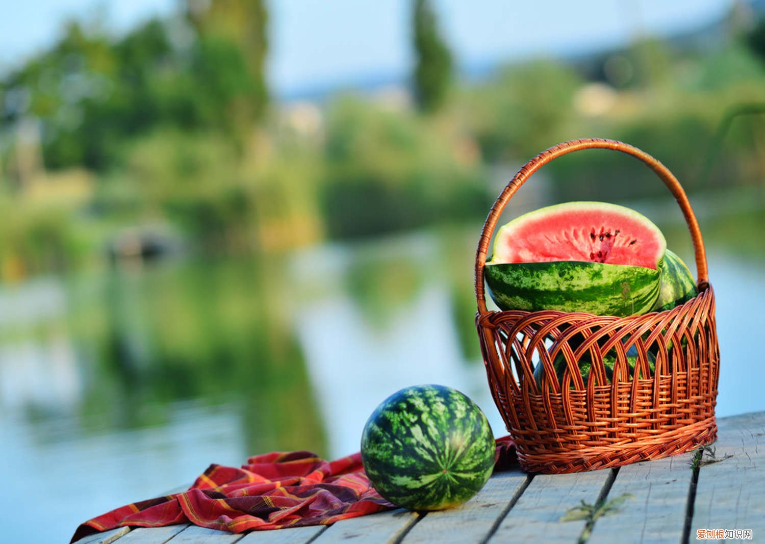 西瓜皮解暑吗 西瓜皮别乱扔，夏季解暑全靠它，效果赛过老人参！