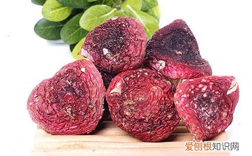 红菇的营养价值怎么辨别真假红蘑菇