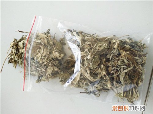 陈艾的功效与作用都有哪些 如何区分新艾和陈艾