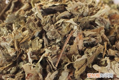 陈艾的功效与作用都有哪些 如何区分新艾和陈艾