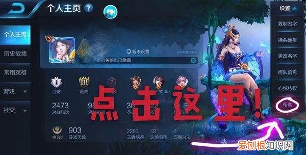 王者荣耀咋查充值记录,王者怎么看自己充了多少钱新版本