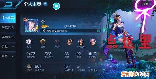 王者荣耀咋查充值记录,王者怎么看自己充了多少钱新版本