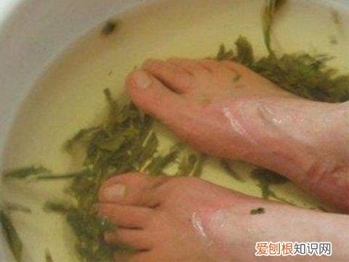 茶叶妙用有哪些 茶叶的十大生活妙用