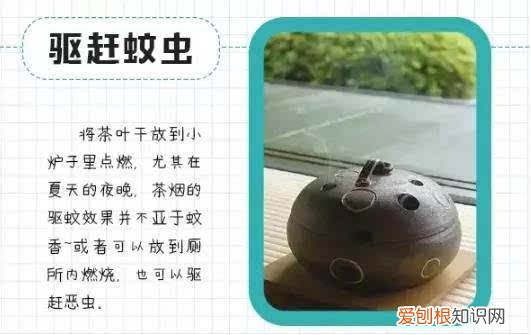 茶叶妙用有哪些 茶叶的十大生活妙用