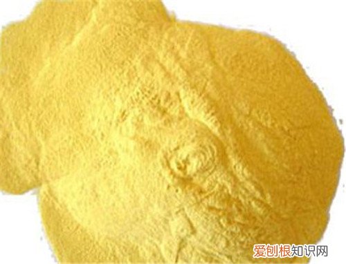 松花粉怎么吃效果更显著 松花粉吃多久能看到效果