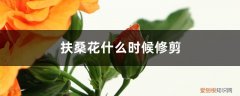 扶桑花什么时候修剪最好 扶桑花什么时候修剪