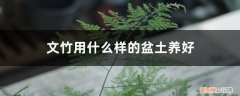 文竹盆栽用什么土好 文竹用什么样的盆土养好