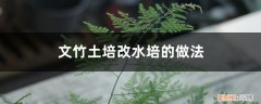 文竹如何从水培改土培 文竹土培改水培的做法