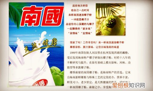 椰子粉哪个牌子好 食椰子粉有哪些作用