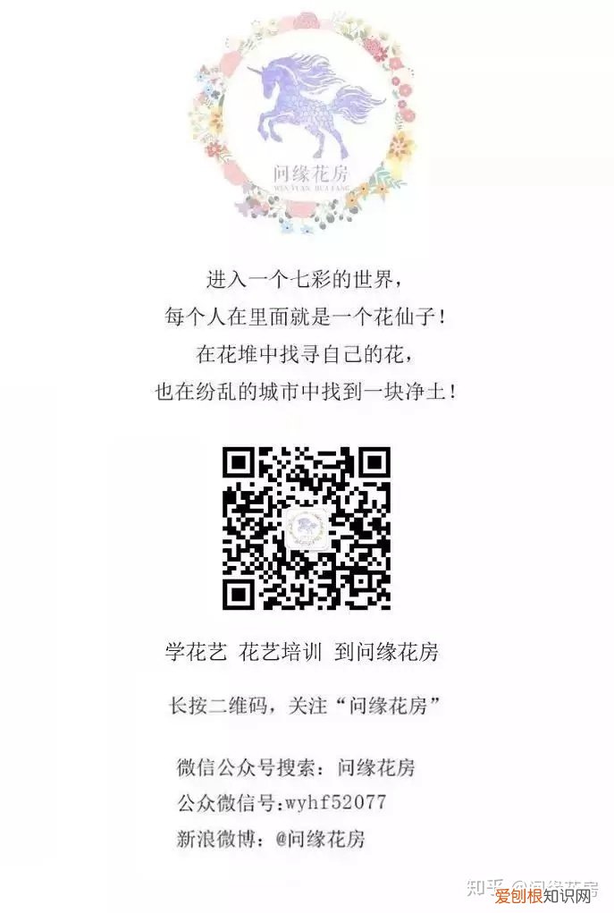 史上最全的养花妙招，养花技巧｜养花之路从这里开始！