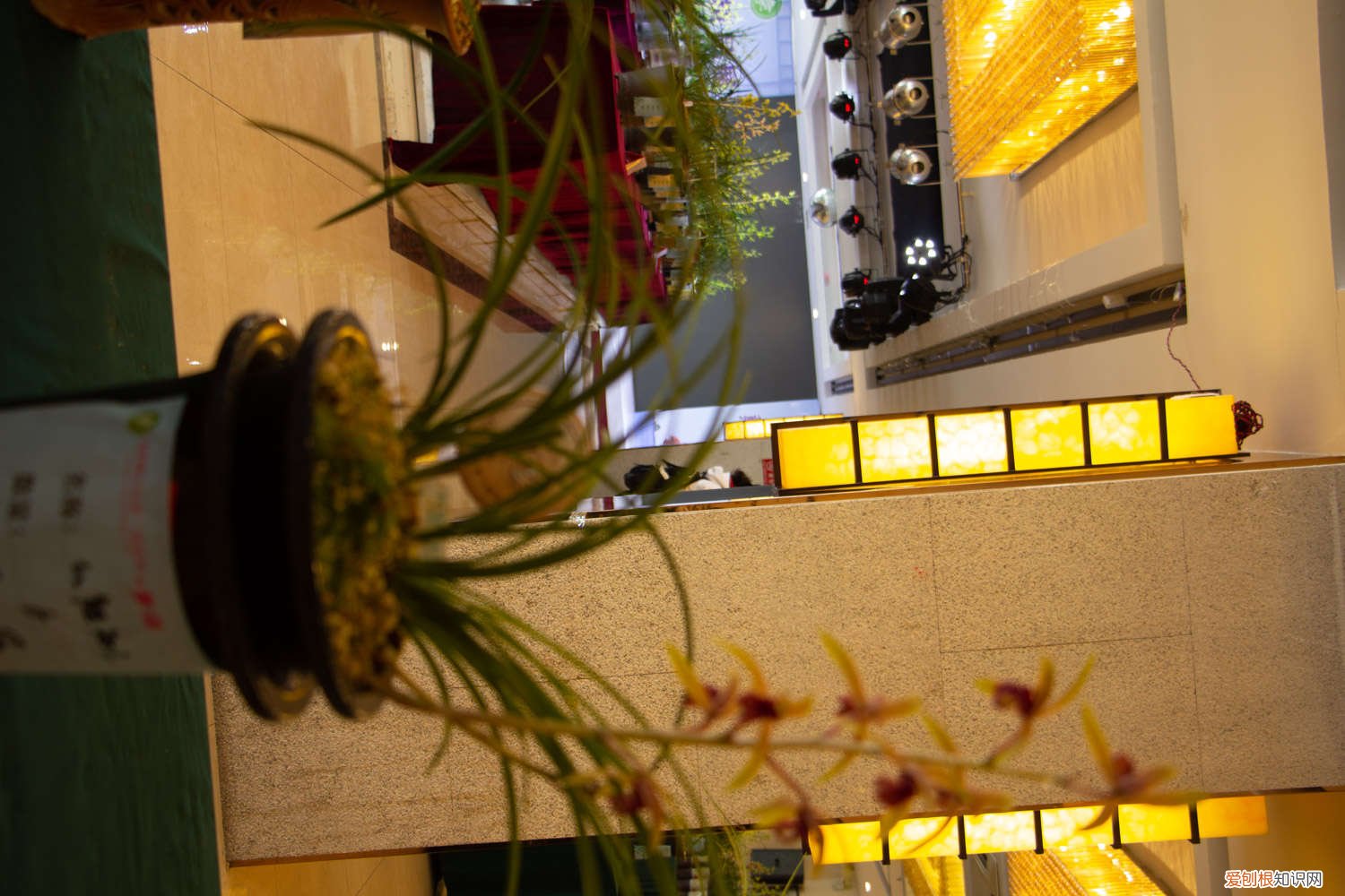 兰花用什么肥料最好 鸡蛋 兰花用什么肥料最好