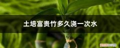 土培富贵竹几天浇一次水 土培富贵竹多久浇一次水