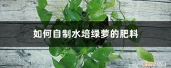 绿萝水培放什么肥料 如何自制水培绿萝的肥料