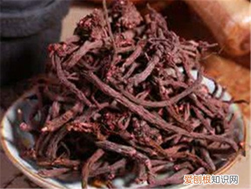 小红参资料大全 小红参就是红参吗