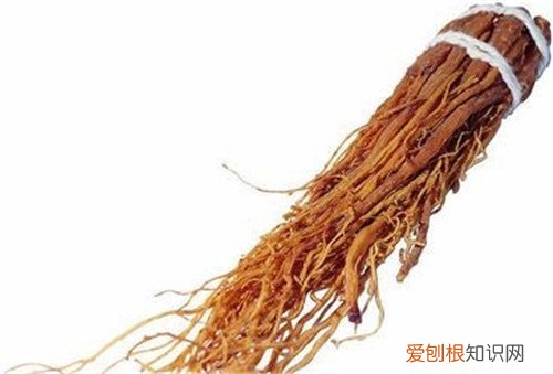 小红参资料大全 小红参就是红参吗