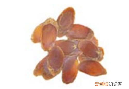 小红参资料大全 小红参就是红参吗