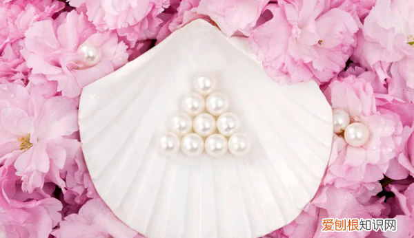 珍珠的种类分为几种，珍珠分类有几种类型