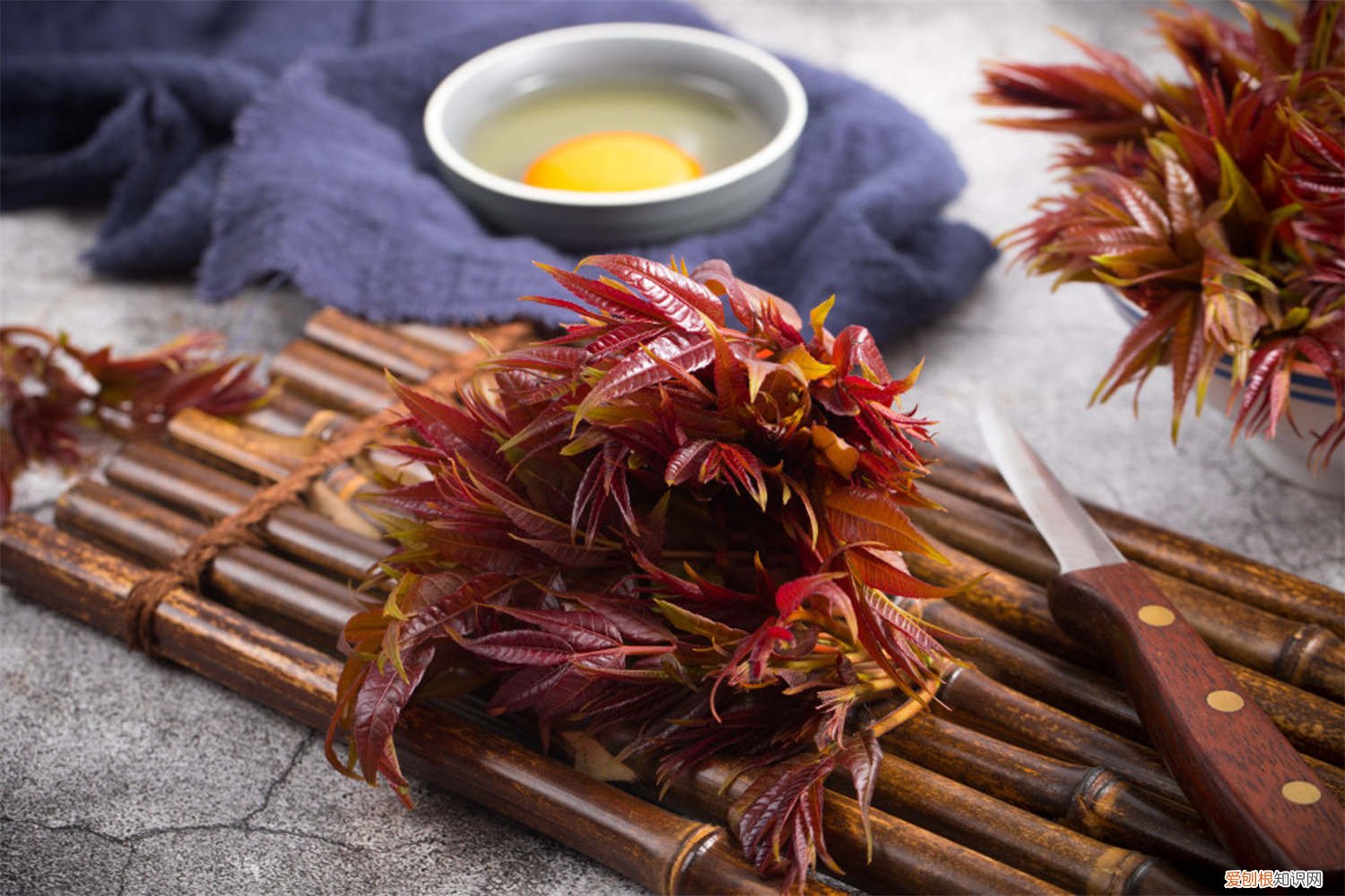 香椿种子怎么种植视频 香椿种子怎么种植