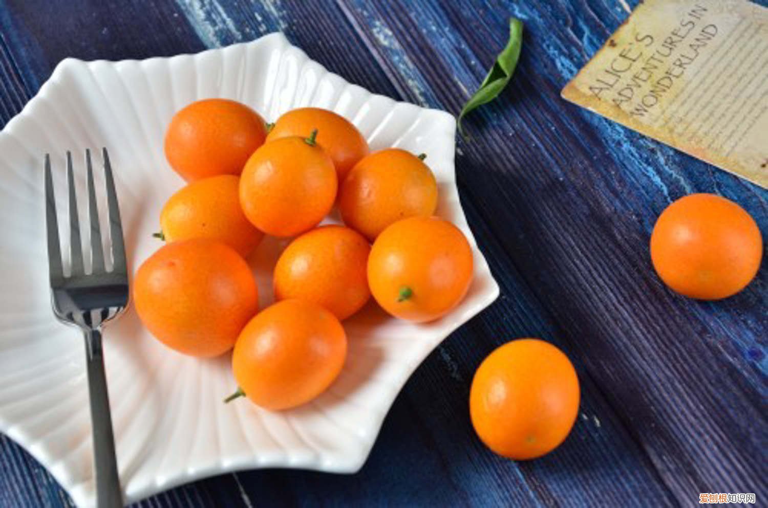 金桔树能扦插繁殖 金桔树的扦插繁殖方法