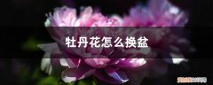 牡丹花移盆怎样浇水 牡丹花怎么换盆