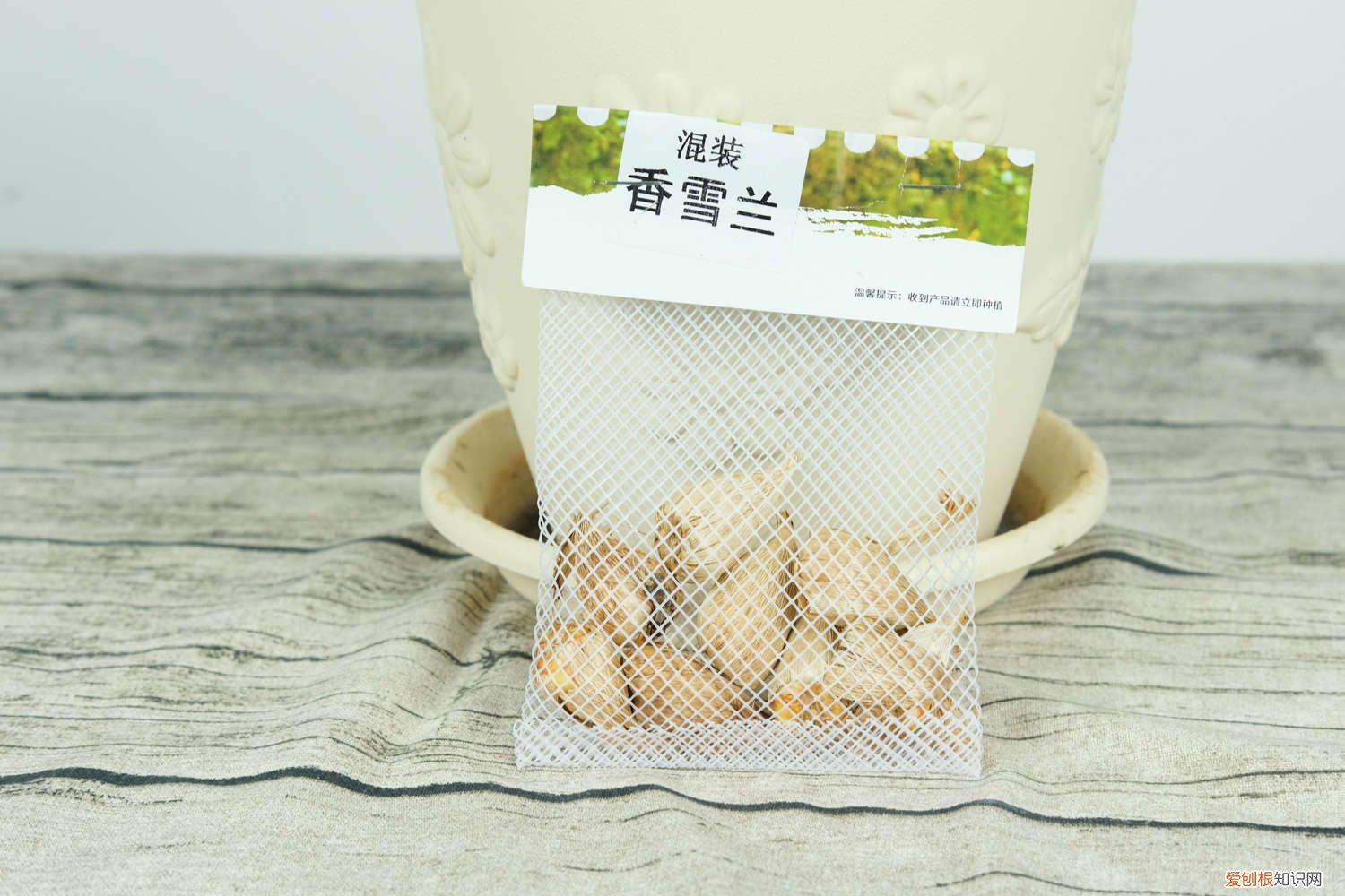 香雪兰一年开几次花呢 香雪兰一年开几次花