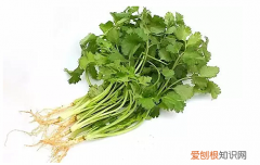 香菜根的功效大揭秘香菜根怎样做更好吃