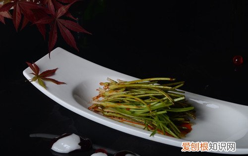 香菜根的功效大揭秘香菜根怎样做更好吃