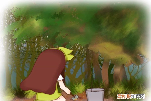 养花容易烂根 这7种土到处都是，拿来养花，叶子绿的流油，不烂根开爆盆！