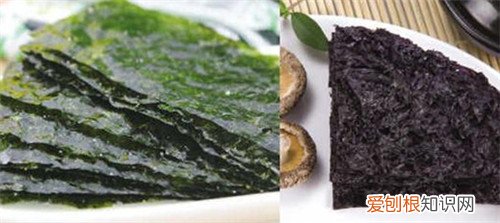 海苔是紫菜吗 海苔与紫菜的五个区别