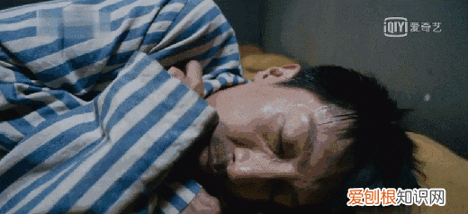 尾巴翘起来的蚊子,带有疟原虫的蚊子会患病吗