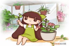 100%成活的扦插法，花花只告诉你！