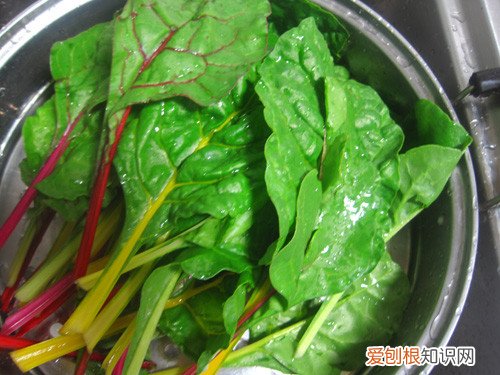 莙达菜有哪些食疗作用莙达菜家常做法分享