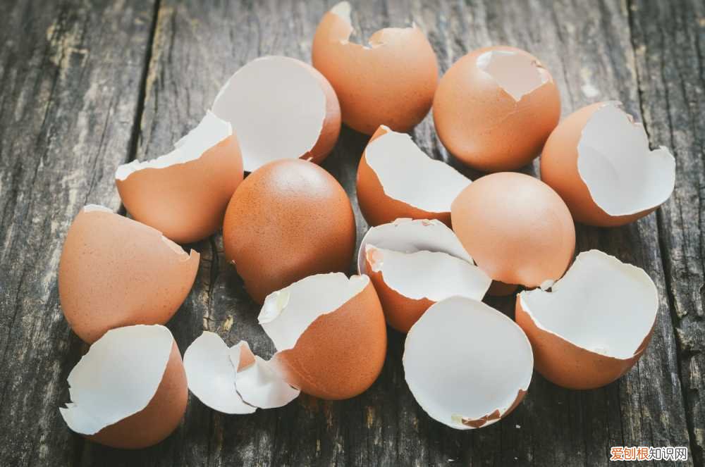 鸡蛋能当肥料浇花吗 打个鸡蛋扔花盆里，3年不用施肥！