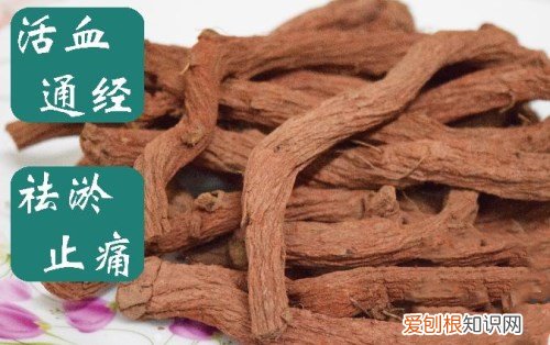 红丹参要怎么吃 红丹参有哪些功效与作用