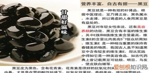 黑豆与黑芸豆的区别 五大方法教你辨别黑豆与黑芸豆