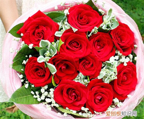 11朵红玫瑰花语是什么 11朵红玫瑰花一般多少钱