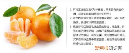 芦柑和橘子的区别 如何识别芦柑和橘子
