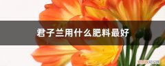 君子兰用什么肥料最好呢 君子兰用什么肥料最好
