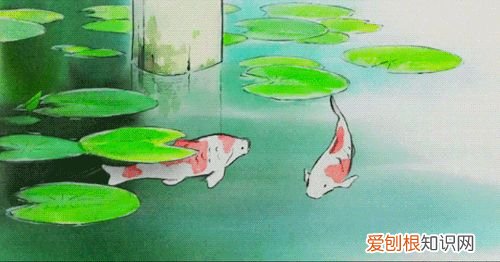 培养自信的孩子的方法，20个培养孩子自信的好方法