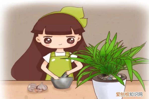 养花先养根,盆底垫点它,根系粗壮开花不断 调味料用来养花，生根爆盆分分钟的事儿！