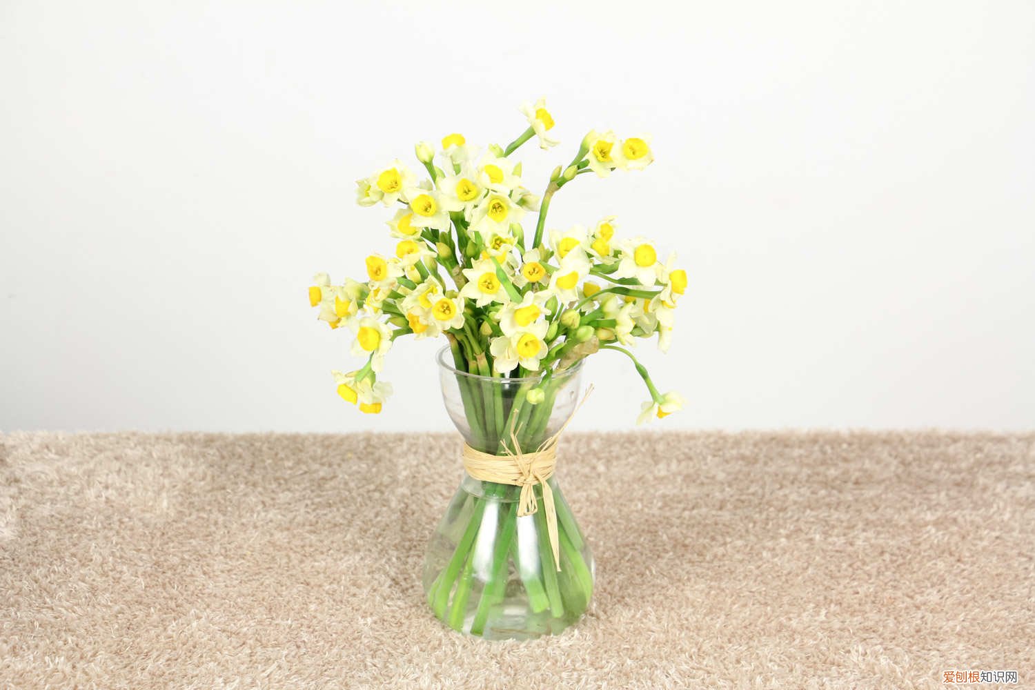 水仙花倒了怎么处理 水仙花倒了怎么办