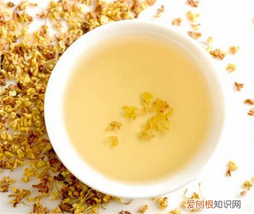 桂花茶价格贵不贵 桂花茶有副作用吗