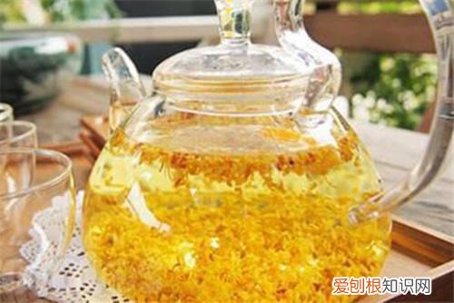 桂花茶价格贵不贵 桂花茶有副作用吗