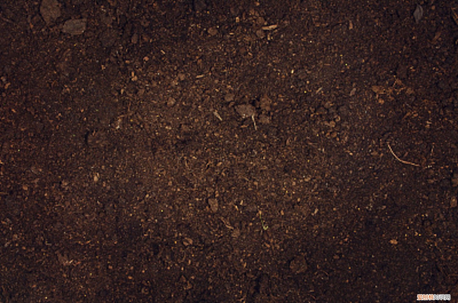 养花烂根的土还能用吗 养花用点这种土，长得快不烂根，叶子又大又绿！